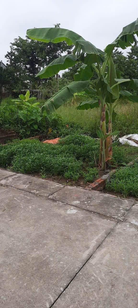 Đất Ngọc Khám Gia Đông 73.6m² giá chỉ từ 3x triệu/m² - Cơ hội đầu tư hấp dẫn!