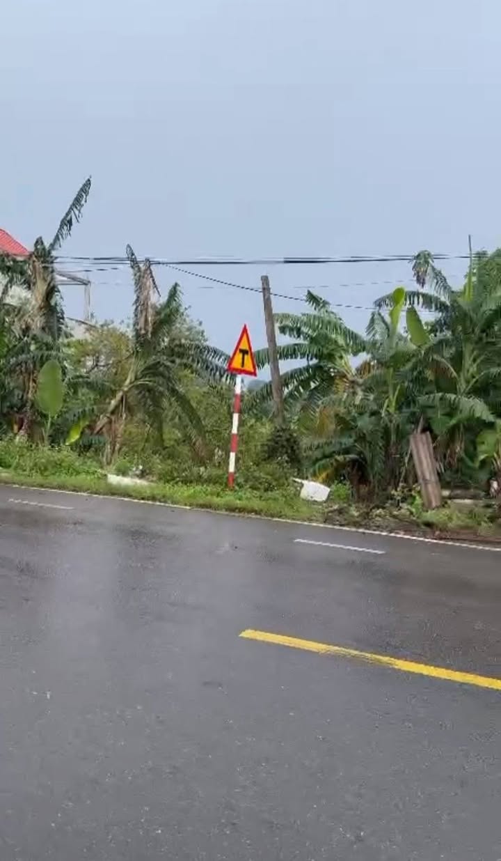 Đất nền Nho Quan 90m² giá thỏa thuận - Kinh doanh sầm uất, mặt tiền rộng!