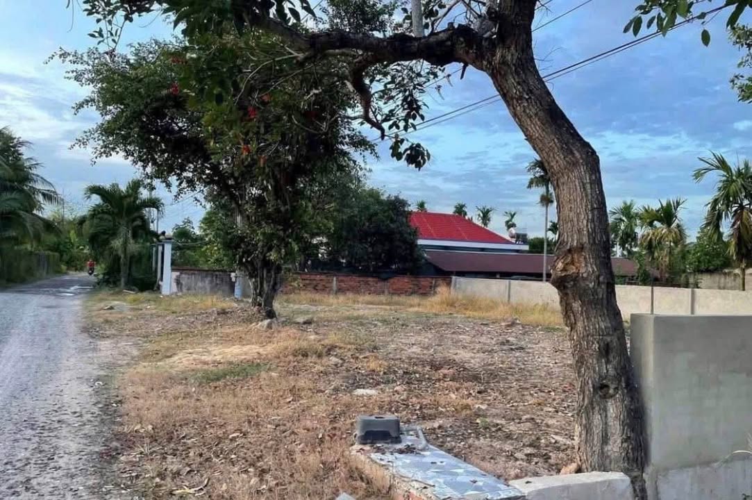 Đất nền mặt tiền kênh Đá Hàng 100m² giá 2,5 tỷ - Đầu tư lâu dài, xây dựng tự do!