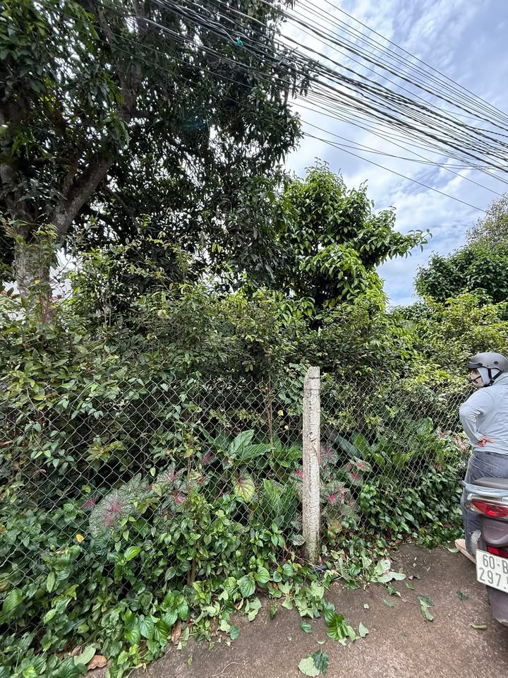 Đất nền Bảo Vinh 125m² giá 1.55 tỷ - An ninh, yên tĩnh, gần trung tâm!