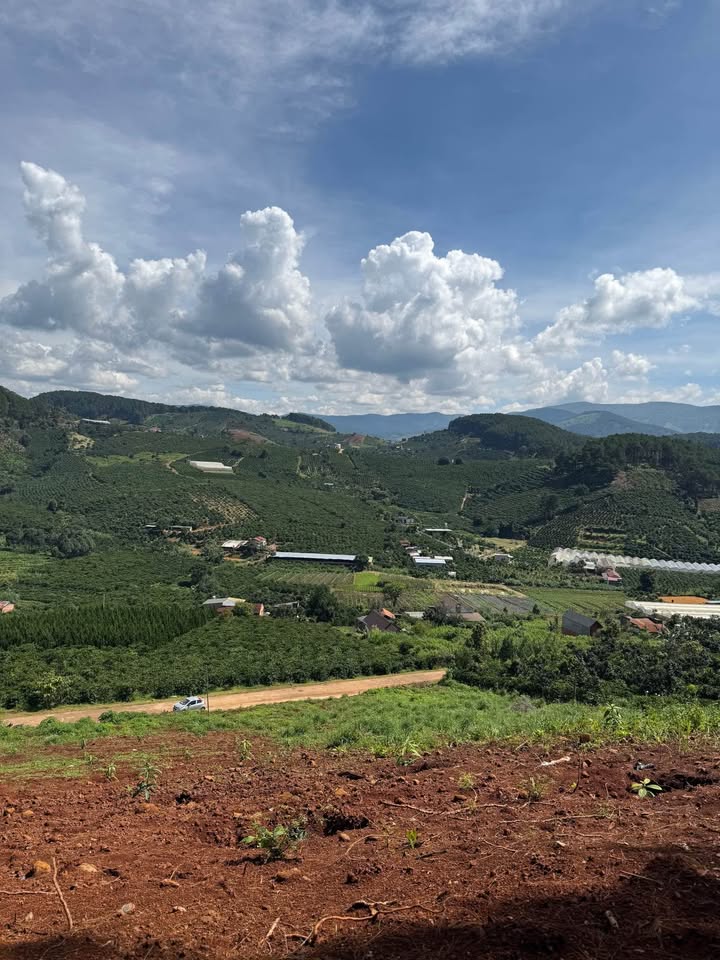 Đất nền Nam Ban, Lâm Hà 574m² giá 1.58 tỷ - Nhiều tiềm năng đầu tư!