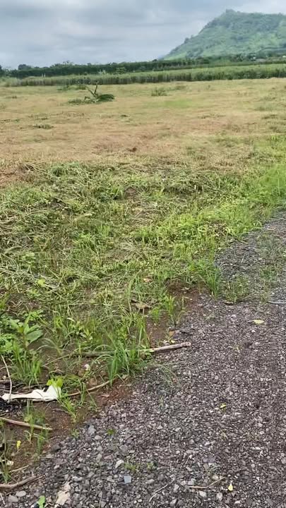 Đất nền 3600m² tại Xuân Đông, Cẩm Mỹ giá 460 triệu - Cơ hội đầu tư hấp dẫn!