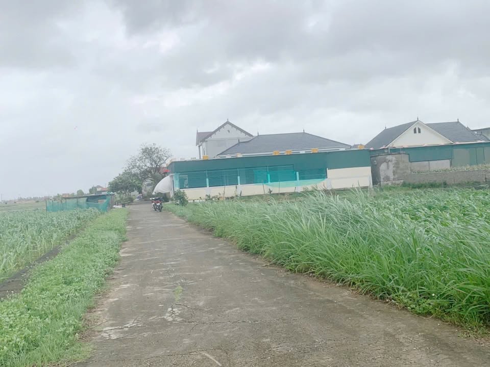 Đất đấu giá khu phố 6, xã Diễn Hùng, 283.5m² giá 2 tỷ - Cơ hội đầu tư hiếm có!