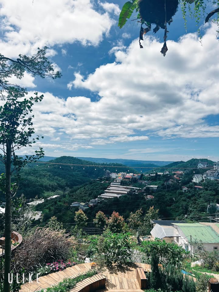 Nhà cấp 4 Trần Thái Tông Đà Lạt 500m² giá 6.8 tỷ - View rừng thông tuyệt đẹp!