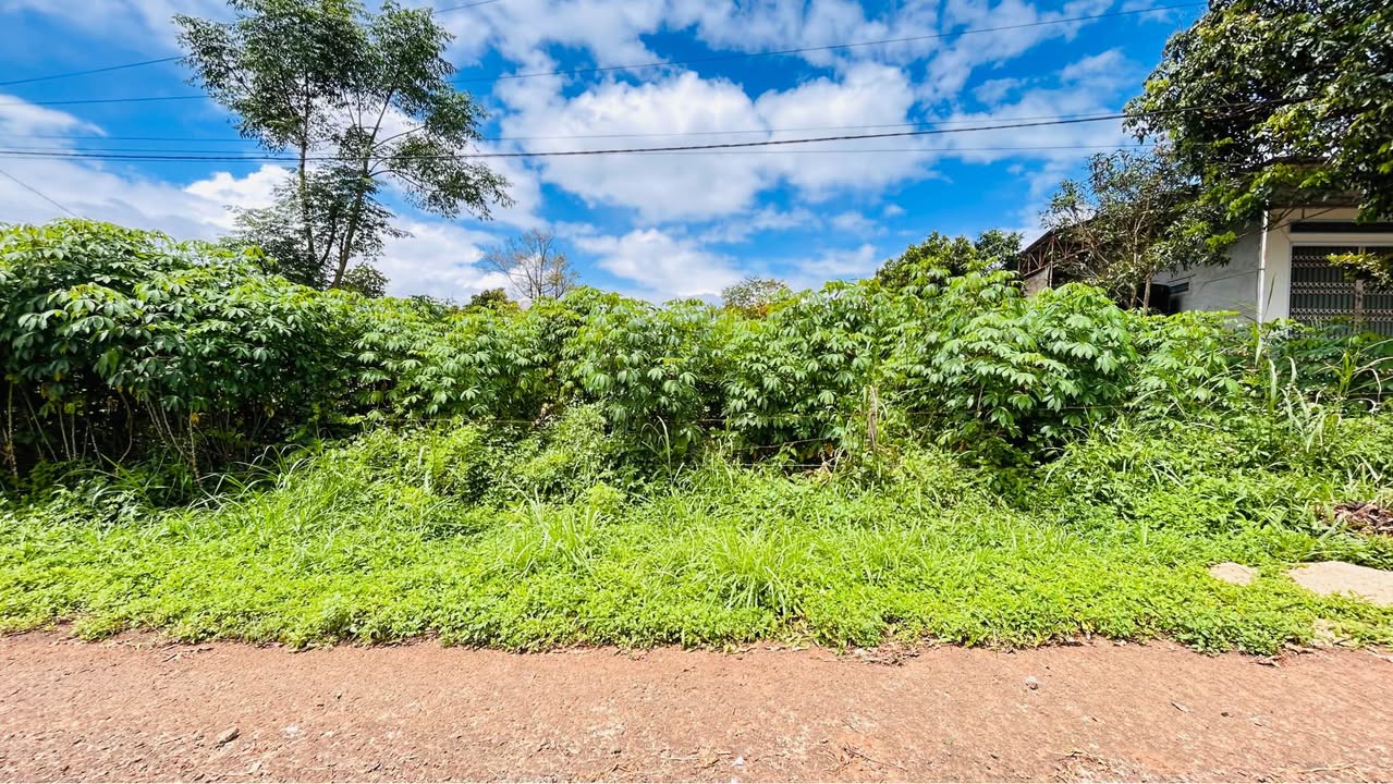 Đất nền Lê Thánh Tôn, Gia Lai 510m² giá 2 tỷ - Không khí trong lành, view đẹp!