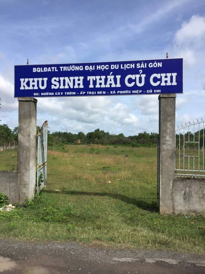 Đất trồng cây Phước Hiệp Củ Chi 5000m² giá 15 tỷ - Mặt tiền đường nhựa rộng rãi!