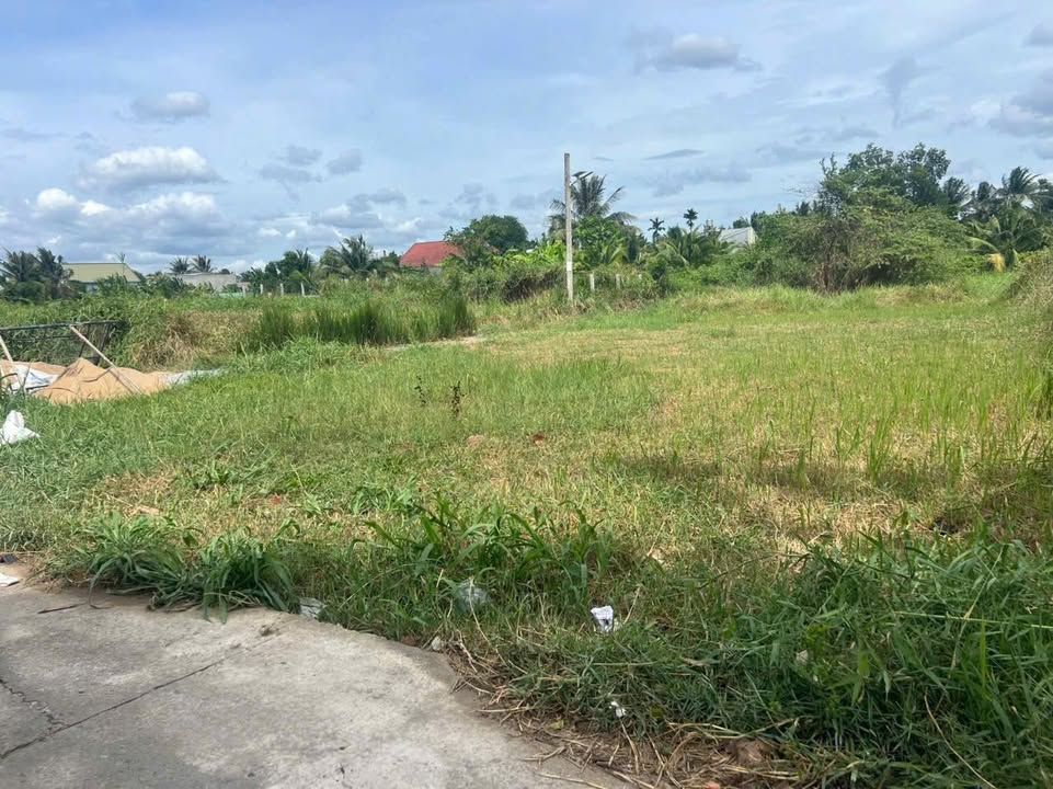 Đất nền đẹp Phú Tân Bến Tre 107.5m² giá 410 triệu - Sổ hồng chính chủ!