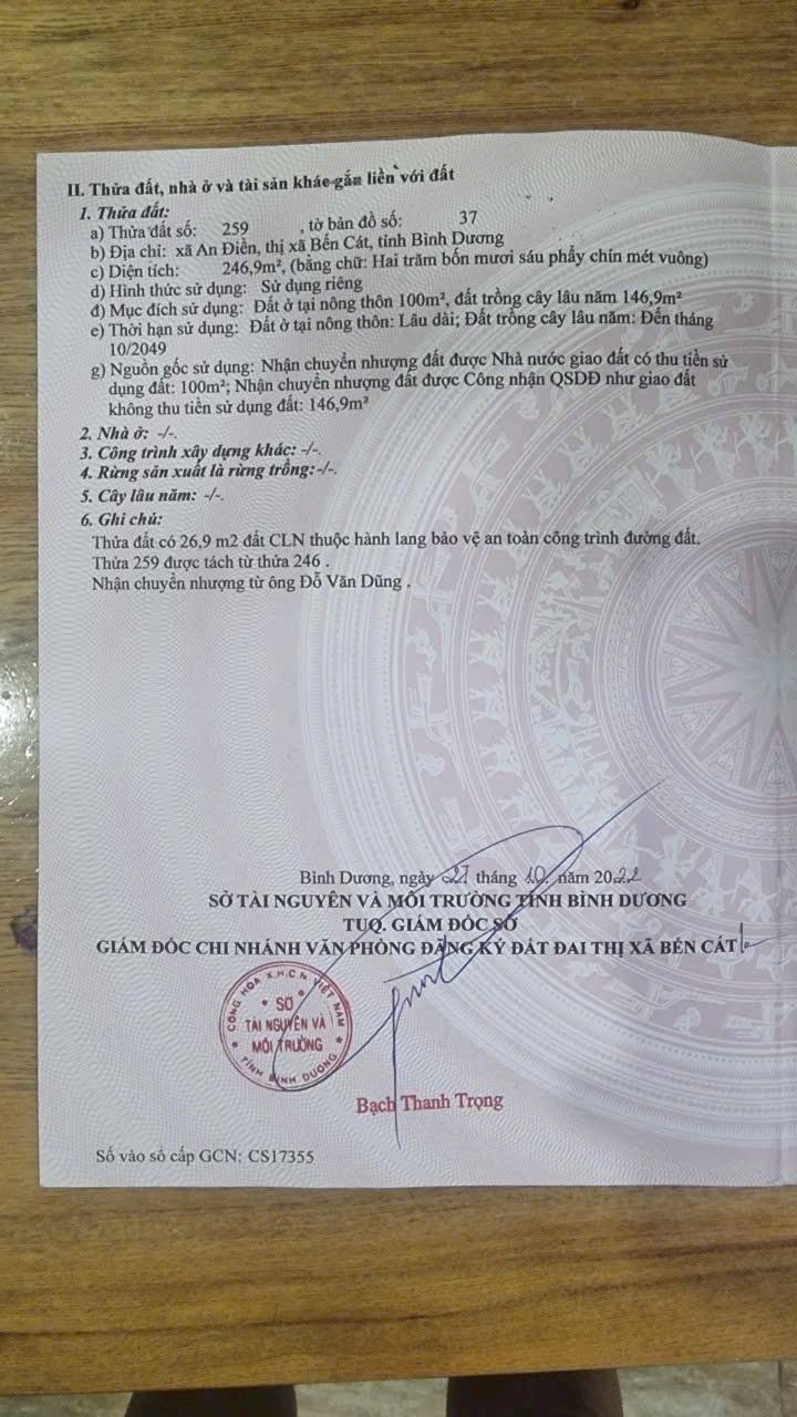 Đất An Điền Bến Cát 246m² giá 1.15 tỷ - Đầu tư sinh lời ngay!