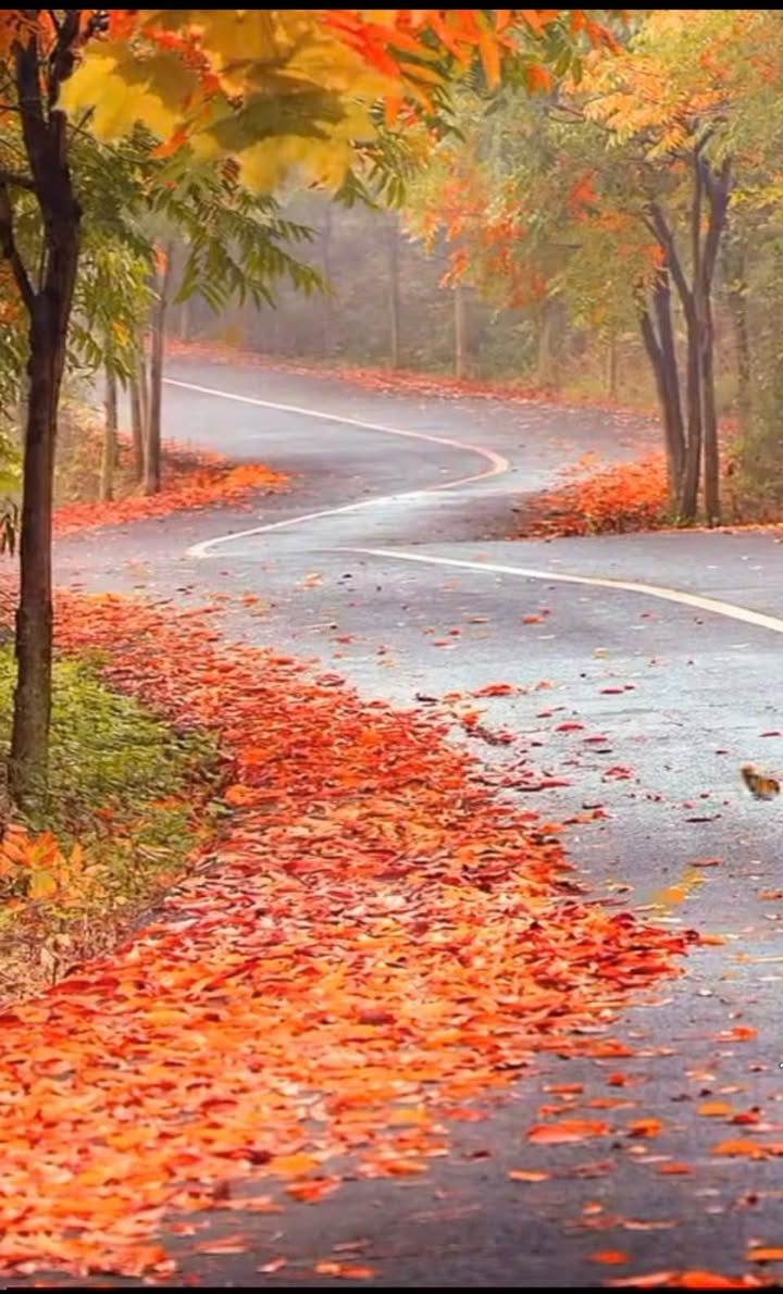 Kho cho thuê mặt tiền Quốc Lộ 13, phường Lái Thiêu - Giá 30 triệu/tháng