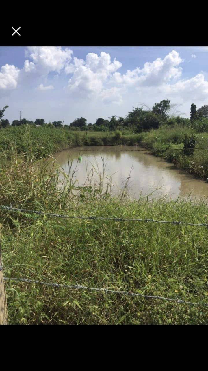 Đất Farm Phú Sơn, Hàm Phú 1,4ha giá 7,2 tỷ - Cơ hội đầu tư sinh lời!