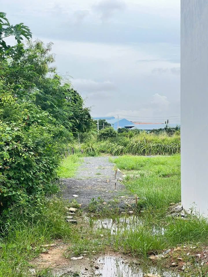 Đất nền Phan Thiết 110m² giá 180 triệu - Đầu tư sinh lời ngay!