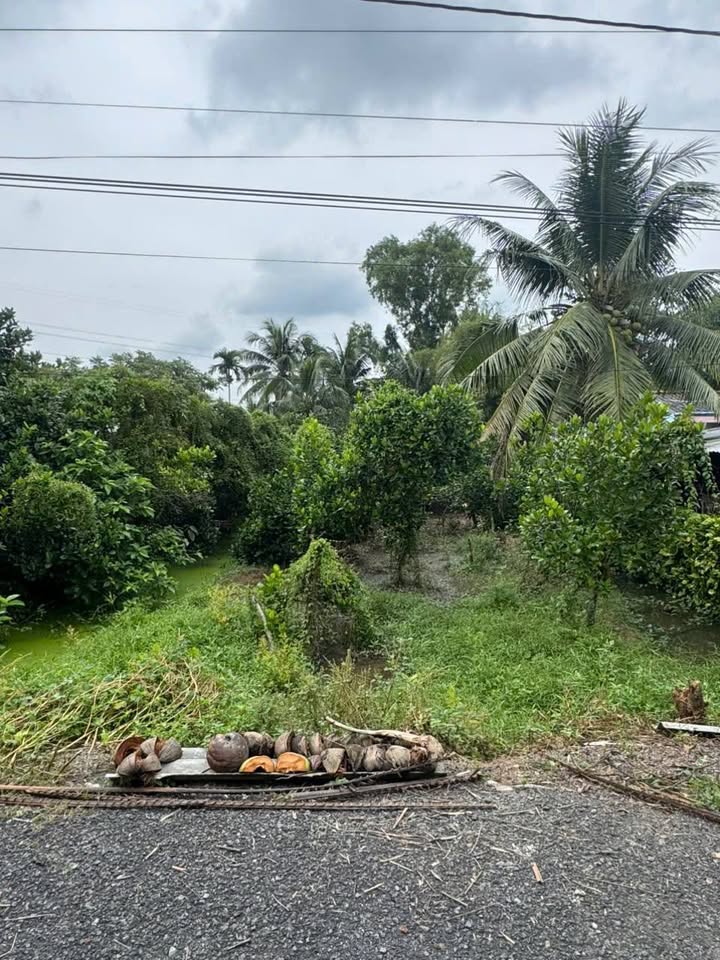 Đất nền Trường An Vĩnh Long 1217m² giá 2.5 tỷ - Pháp lý đầy đủ, ô tô vào tận nơi!