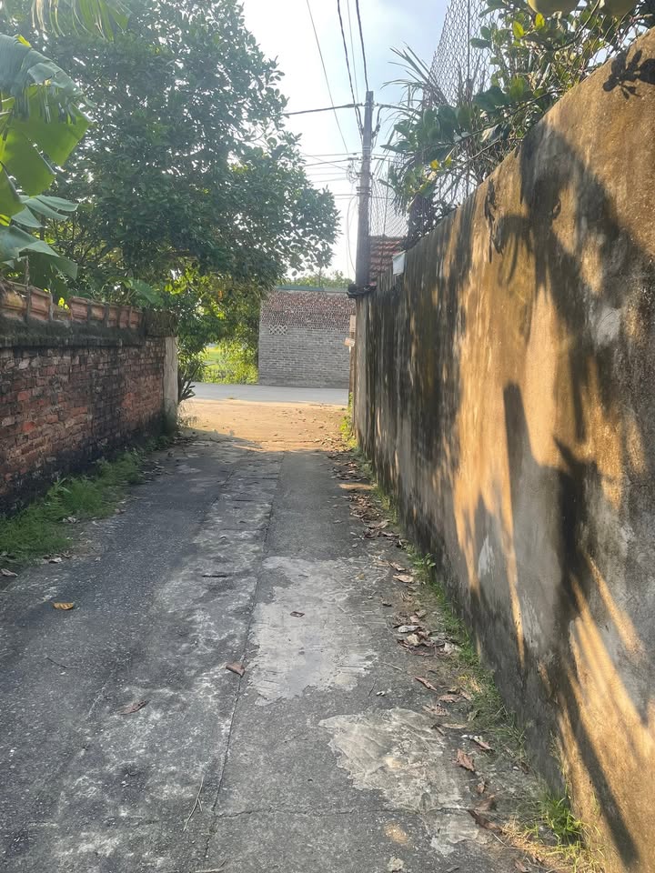 Đất nền Xóm Thượng, Uy Nỗ 74m² giá 6 tỷ - Ô tô vào tận nơi!