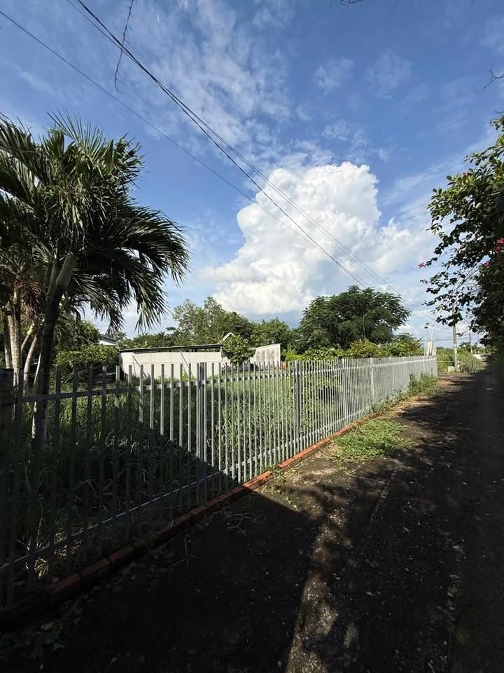 Đất nền 1.039m² tại Quy Đức, Bình Chánh - Giá chỉ 4 tỷ, pháp lý đầy đủ!