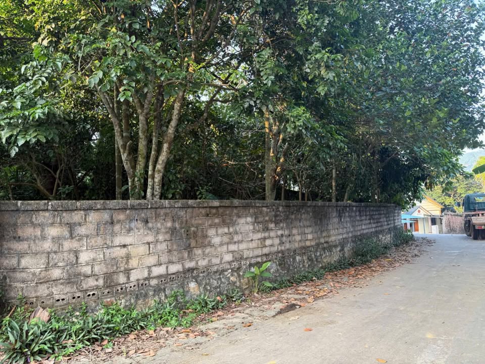 Đất nền Yên Bình, Thạch Thất 2.218m² giá 17.744 tỷ - Cơ hội đầu tư hiếm có!