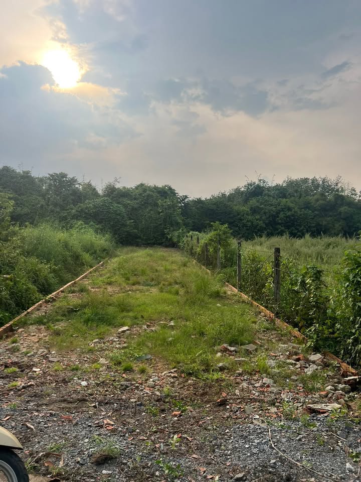 Đất nền 179m² xã Tân An Hội, Củ Chi - Giá 2,35 tỷ, sổ đỏ chính chủ!