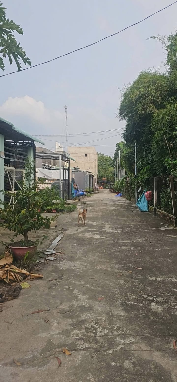 Đất nền An Hòa Trảng Bàng 124m² giá chỉ 400 triệu - Cơ hội đầu tư tuyệt vời!