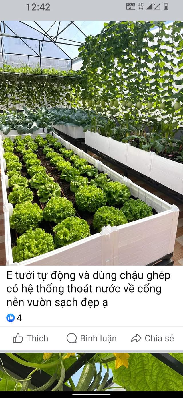 Bán đất vườn 567m² tại Đại Lai 1, Phú Xuân, Thái Bình - Sổ đỏ chính chủ