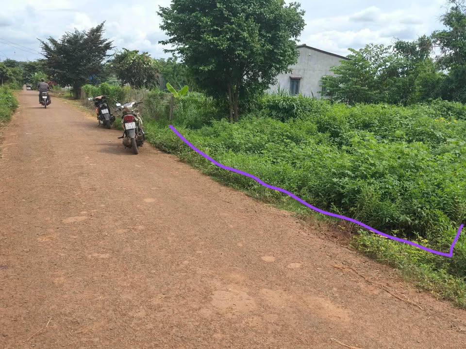 Đất nền xã Ea Nuôl, Buôn Đôn 240m² giá 375 triệu - Cơ hội đầu tư tuyệt vời!