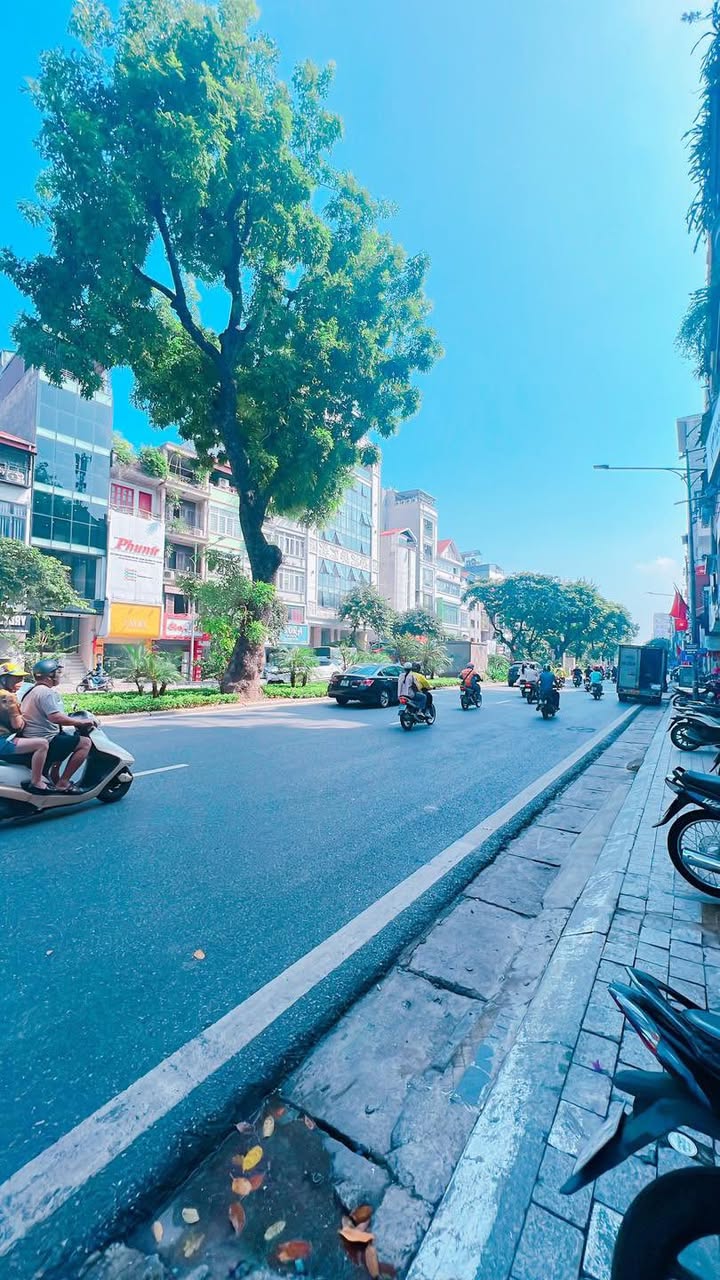 Bán gấp mặt phố Kim Mã, Ba Đình 20m² giá 10.3 tỷ - Kinh doanh sầm uất!
