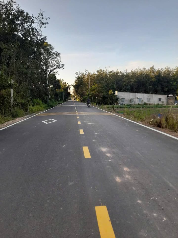 Đất vườn Tiên Thuận Bến Cầu 5000m² giá 2.4 tỷ - Đầu tư sinh lời ngay!