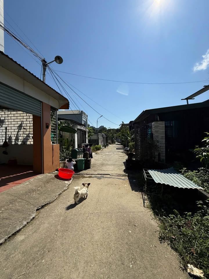 Đất nền Ngọc Đường, Hà Giang 100m² giá thỏa thuận - Tiềm năng tăng giá cao!