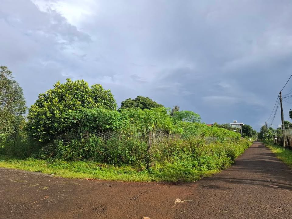 Lô đất 3 mặt đường nhựa tại Phan Đình Phùng 525m² giá 2.3 tỷ - Cơ hội đầu tư sinh lời!