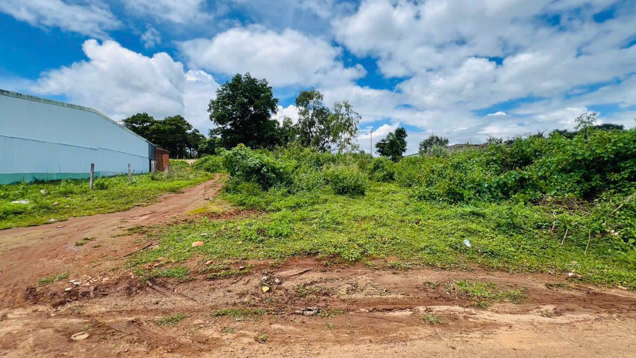 Đất nông nghiệp Hẻm 580 Trường Chinh, Pleiku 124m² - Giá chỉ 545 triệu!