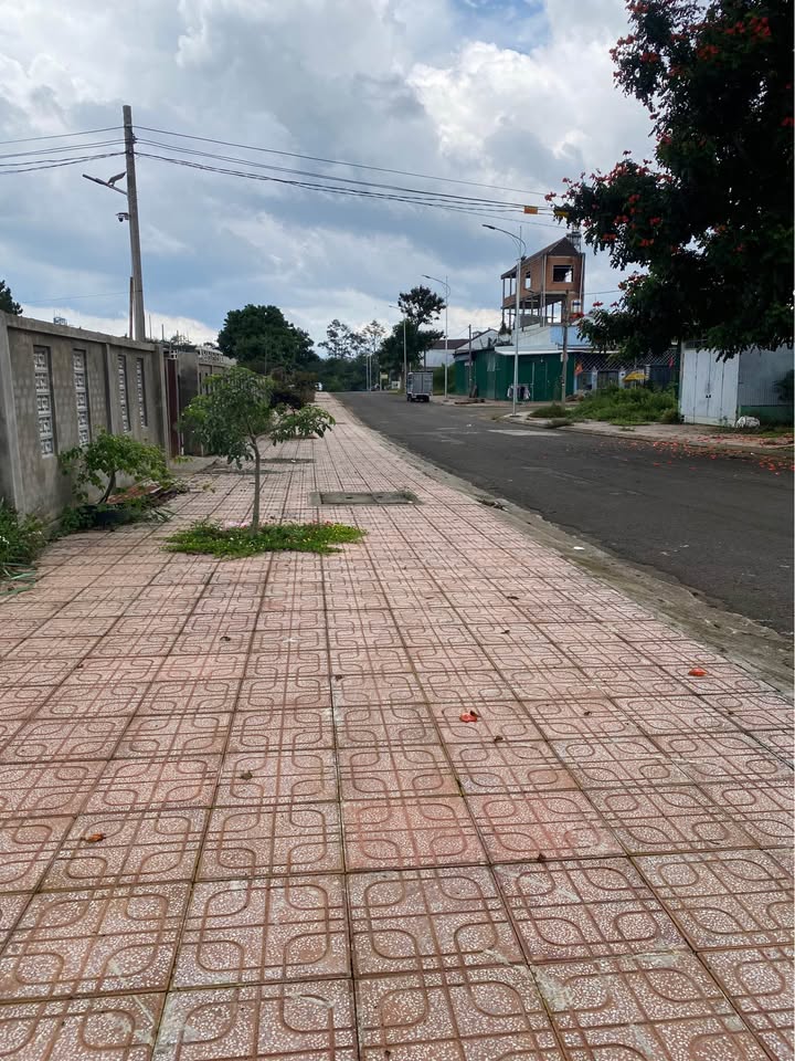 Đất Tái Định Cư Tố Hữu Bảo Lộc 127m² giá 1.65 tỷ - Cơ hội đầu tư hấp dẫn!