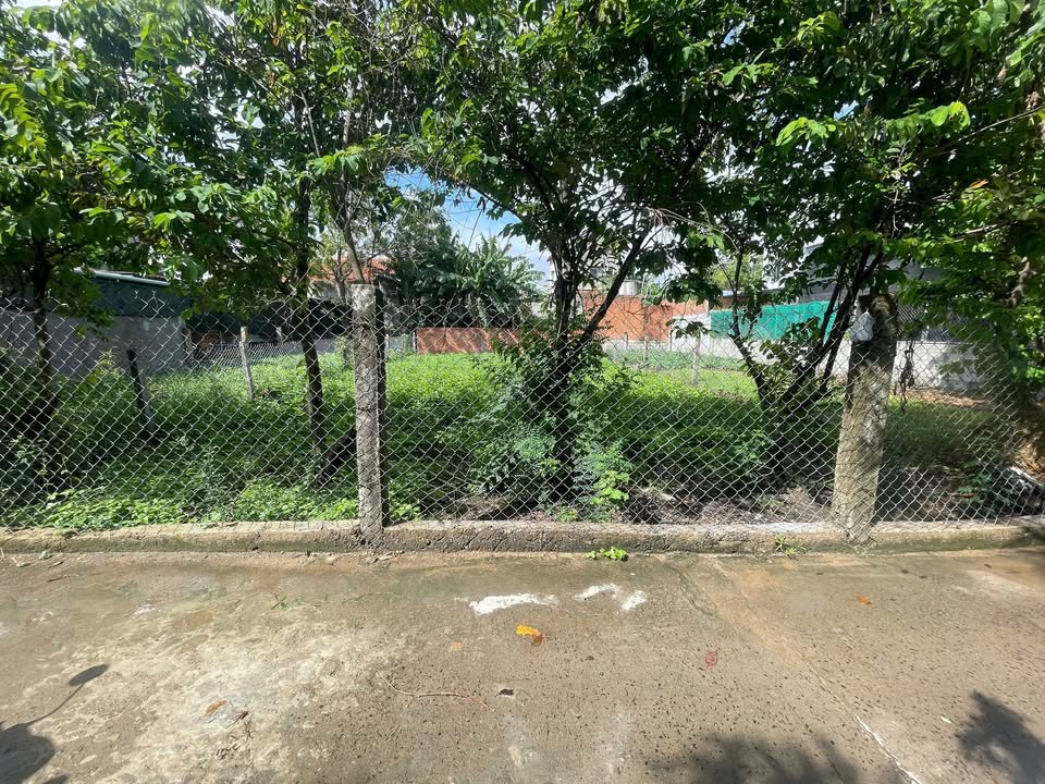 Đất thổ cư Ân Niên Tuy Hòa 251m² giá 1.25 tỷ - Cách trung tâm 3km!