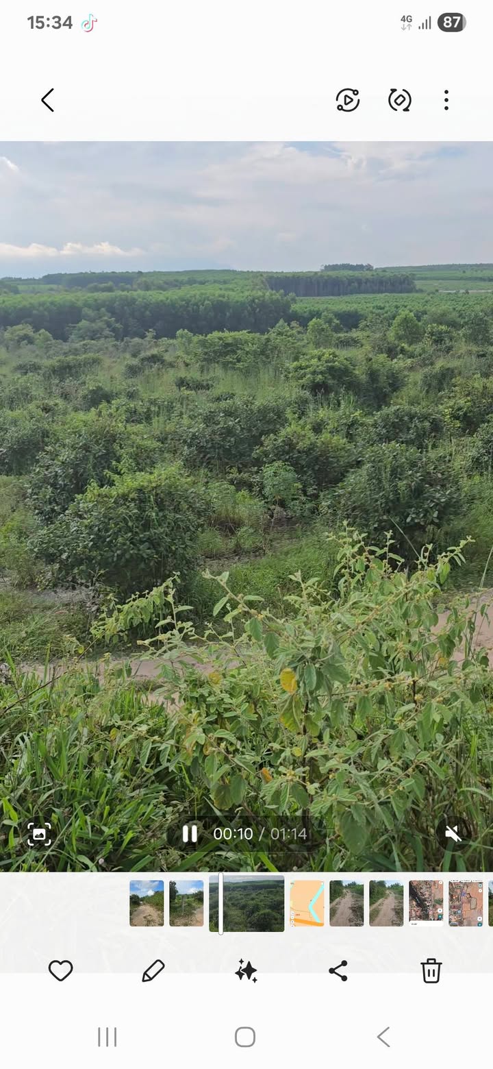 Đất nông nghiệp Tân Lý 1, La Gi, 3600m² giá chỉ 175 triệu - Cơ hội đầu tư tuyệt vời!