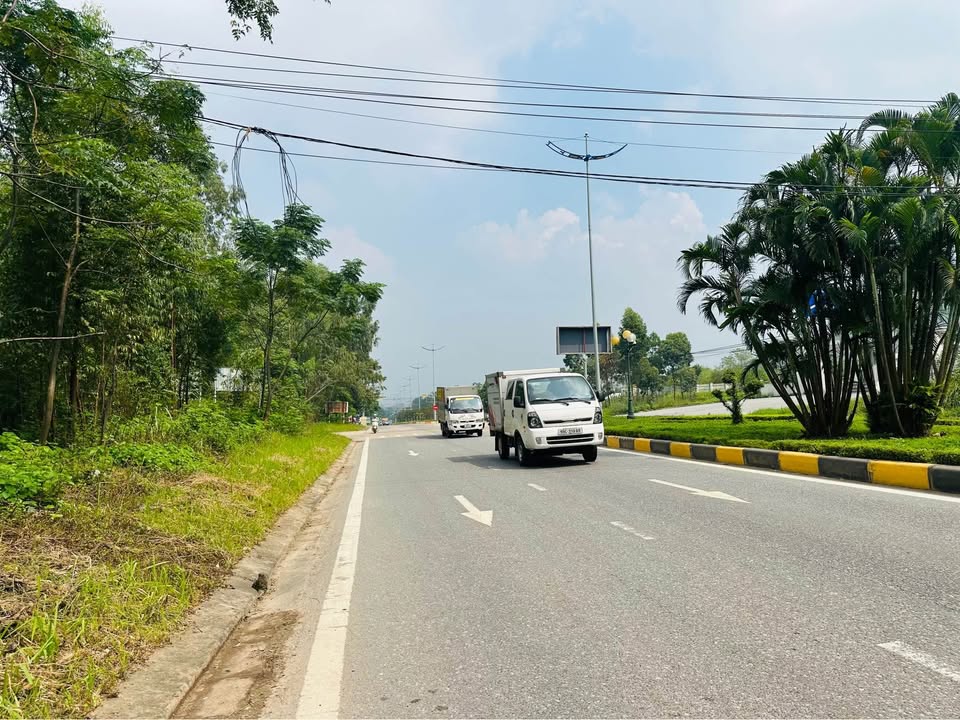 Đất nền Vĩnh Yên 150m² chỉ 1.8 tỷ - Cơ hội đầu tư tuyệt vời!