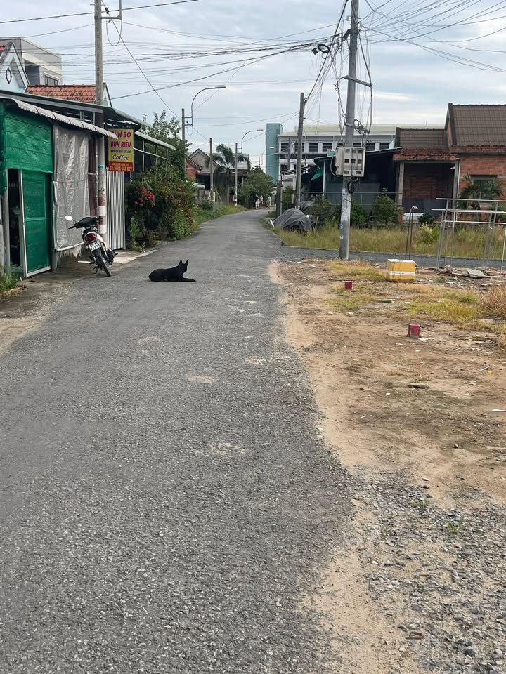 Đất nền mặt tiền đường Mỹ Lộc, huyện Cần Giuộc, 150m² giá 1.65 tỷ - Cơ hội đầu tư tuyệt vời!