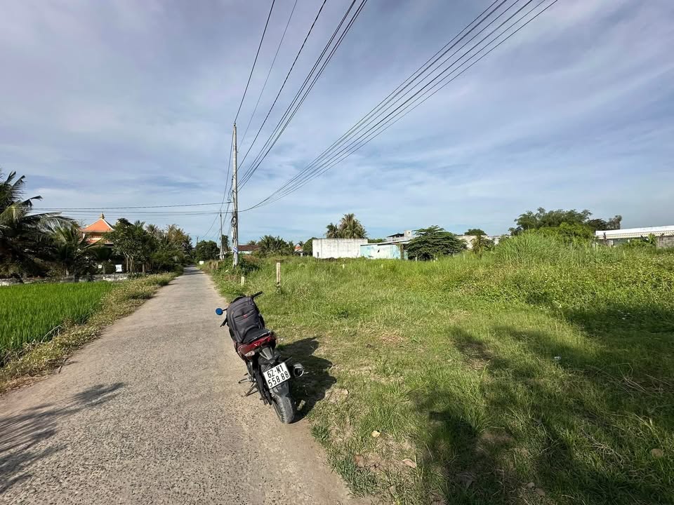 Đất thổ cư 196m² tại ấp 7 Nhựt Chánh, Bến Lức - Giá 750 triệu, vị trí đắc địa!