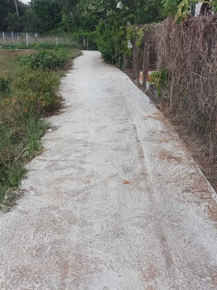 Đất thổ cư Ấp 3, xã Long Sơn, huyện Cần Đước 110m² giá 500 triệu - Đầu tư sinh lời ngay!