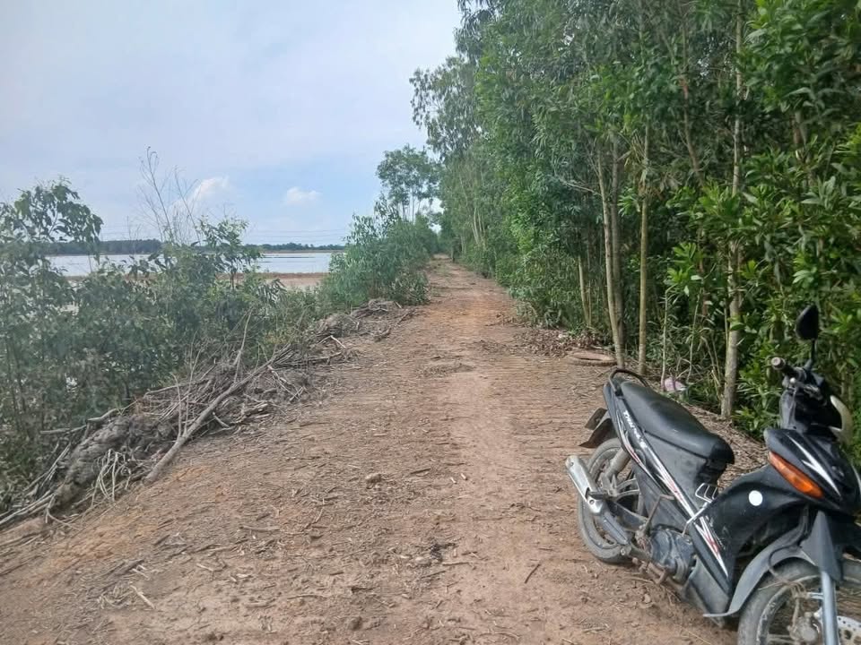 Đất nền 2ha xã Tân Long, huyện Thủ Thừa, giá 2.3 tỷ - Cơ hội đầu tư hấp dẫn!