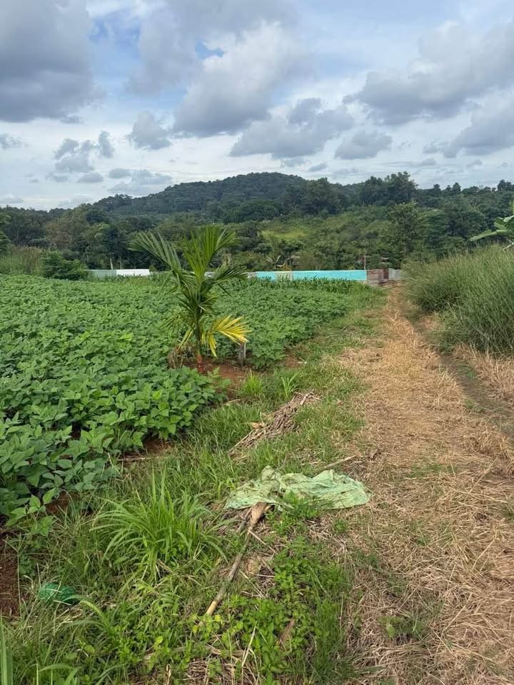 Đất nền đẹp 500m² tại hẻm Trần Nhân Tông - Giá chỉ 450 triệu!