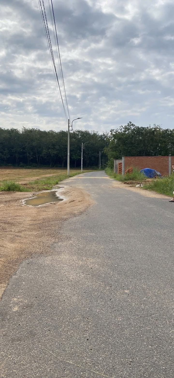 Đất nền Tân Định Bến Cát 190m² chỉ 1.4 tỷ - Đầu tư sinh lời ngay!