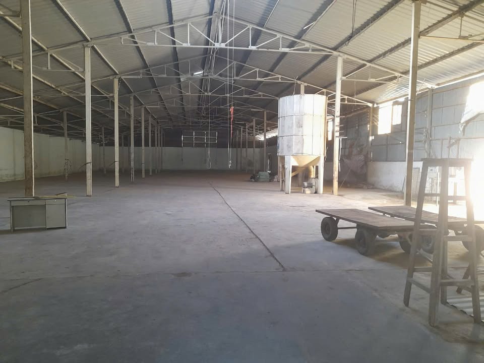 Kho cho thuê 1.800m² tại Sa Đéc - Mặt tiền sông, giá thuê hợp lý!