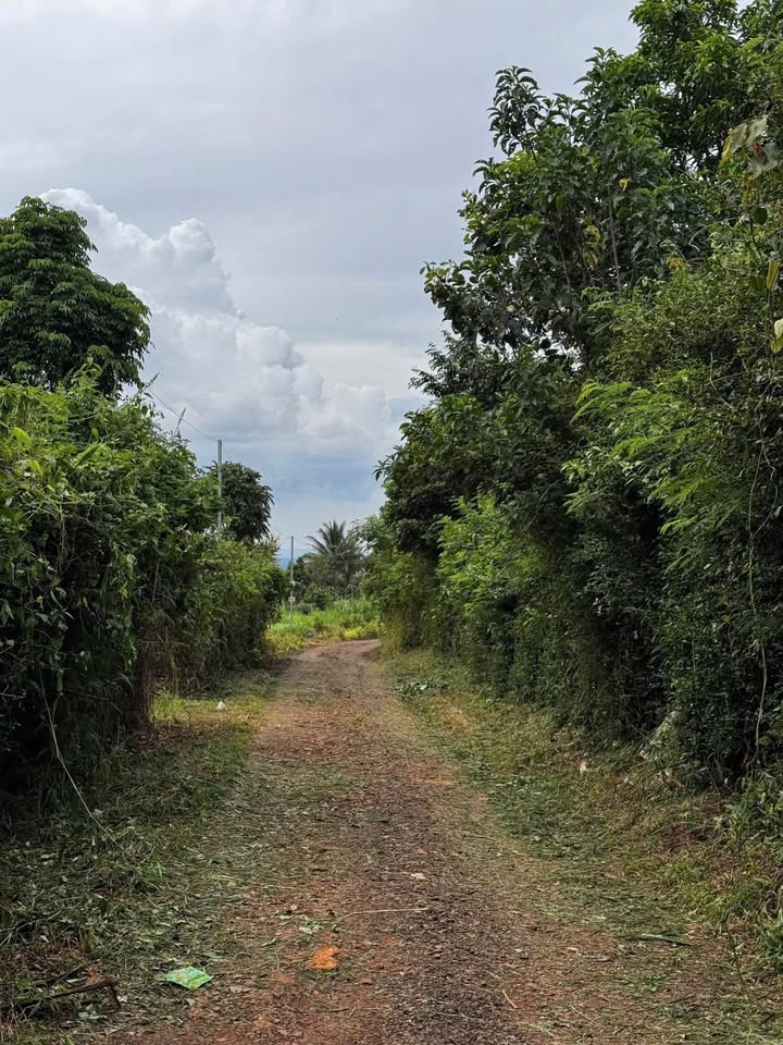 Đất nền 891m² hẻm 30/4 Buôn Ma Thuột giá chỉ 1.29 tỷ - Tiềm năng sinh lời cao!