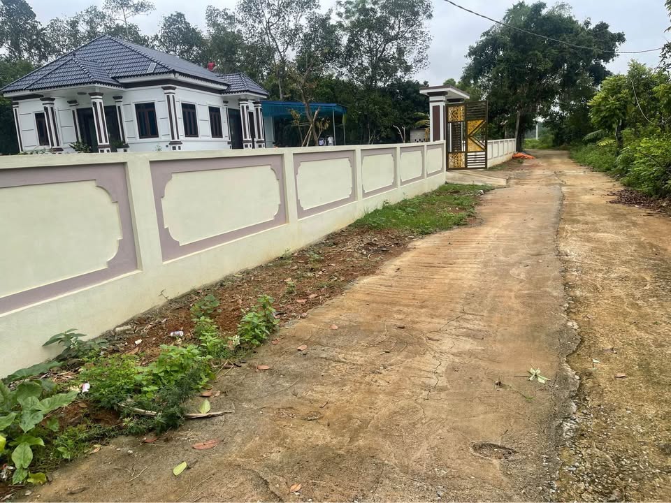 Đất nền Thọ Tân, Triệu Sơn 148m² giá thỏa thuận - Cơ hội đầu tư hấp dẫn!