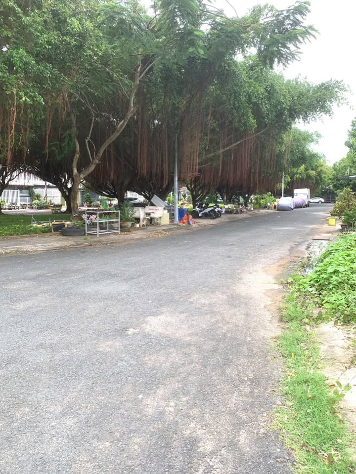 Nhà Ecohome Rạch Giá 69.75m² giá 1.8 tỷ - Sổ hồng chính chủ, yên tĩnh thoáng mát!