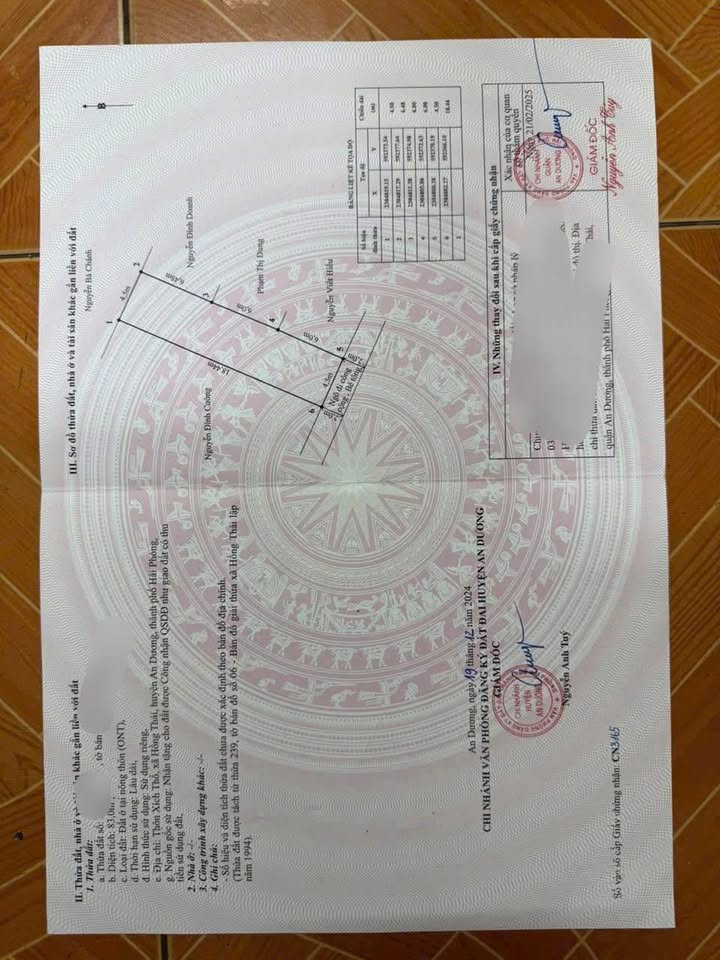 Đất thổ cư Hồng Thái, An Dương 83m² giá 1.38 tỷ - Cơ hội đầu tư hấp dẫn!