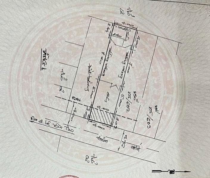 Nhà Gò Vấp 72m² giá 6.98 tỷ - Hẻm xe hơi, gần Công viên Làng Hoa!