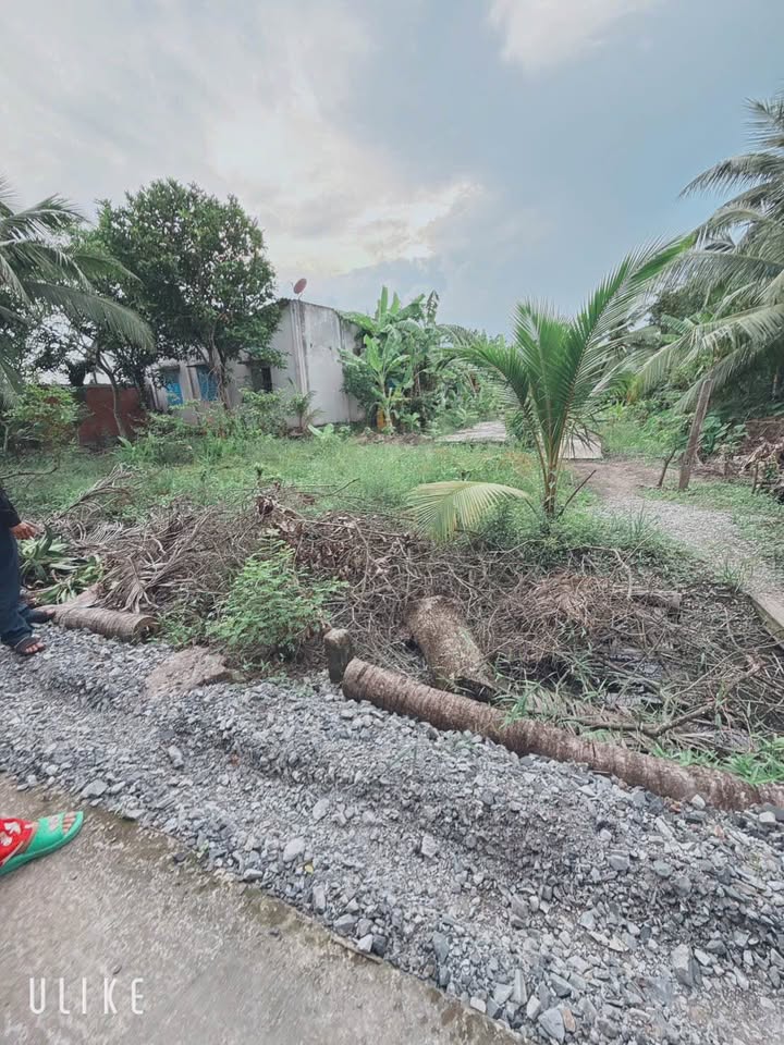 Đất thổ cư Mỹ Thạnh, Tân Trụ 94m² giá 279 triệu - Cơ hội đầu tư tuyệt vời!