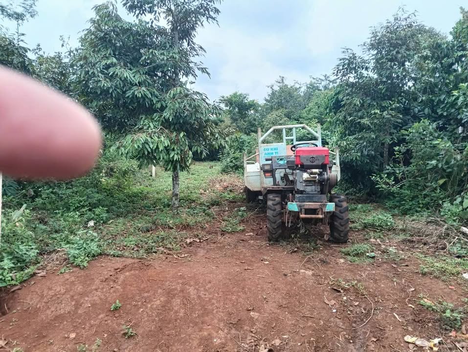 Đất nền Buôn Hồ Đắk Lắk 250m² giá thỏa thuận - Mặt tiền đường nhựa thông tứ hướng!