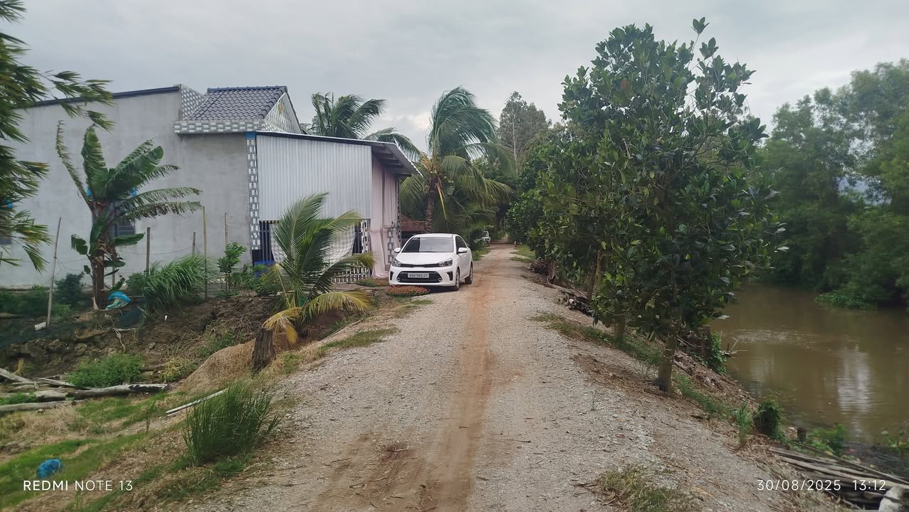 Đất nông nghiệp 15 công tại Lương An Trà, Tri Tôn - Cơ hội đầu tư hấp dẫn!