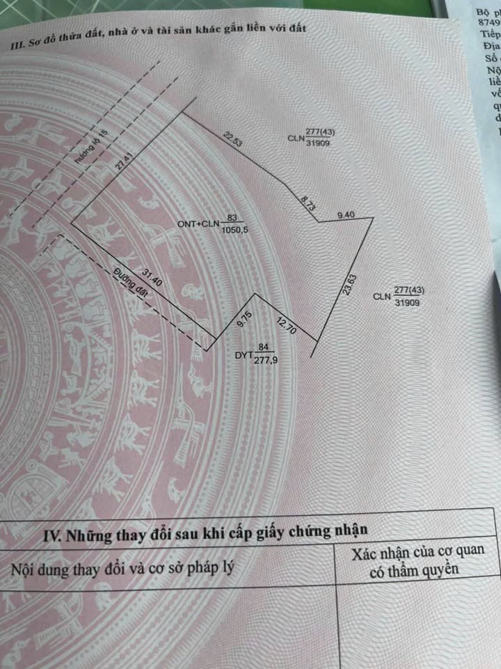 Đất nền đường Hương lộ 15, An Tức, 1050m² - Phân lô bán nền tiềm năng!