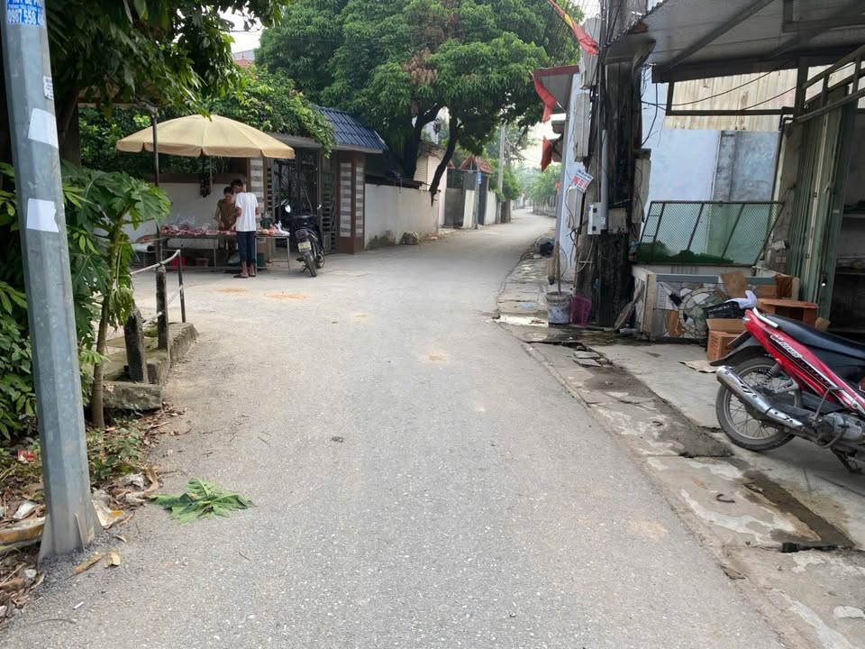 Đất nền Đạo Đức, Bình Xuyên 99m² giá 1.5 tỷ - Đầu tư sinh lời ngay!