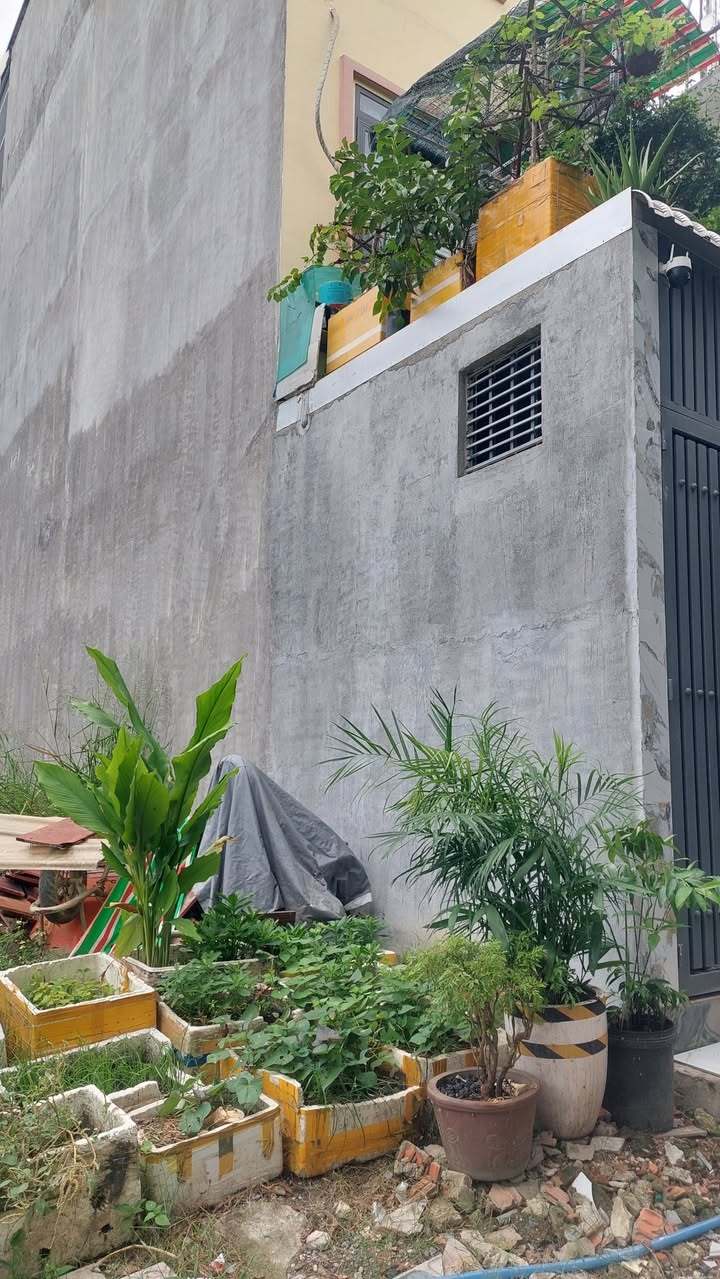 Đất An Phú Đông, Quận 12, Diện tích 70m², Giá 3.3 tỷ - Đầu tư sinh lời bền vững!